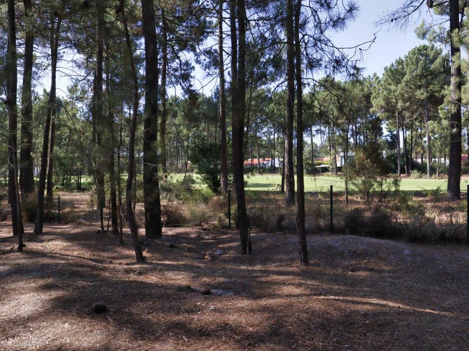 Aroeira Golf - Beach House Carcereiro ภายนอก รูปภาพ
